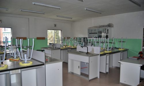 DSC_0905-500x300
