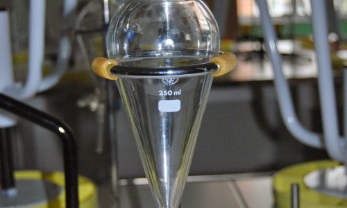 DSC_0907-500x300