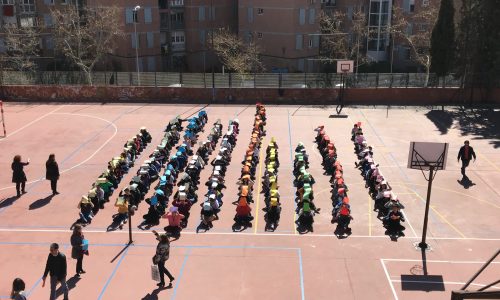 IMG_8174-2-scaled-500x300