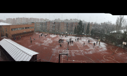 IMG_8325-500x300